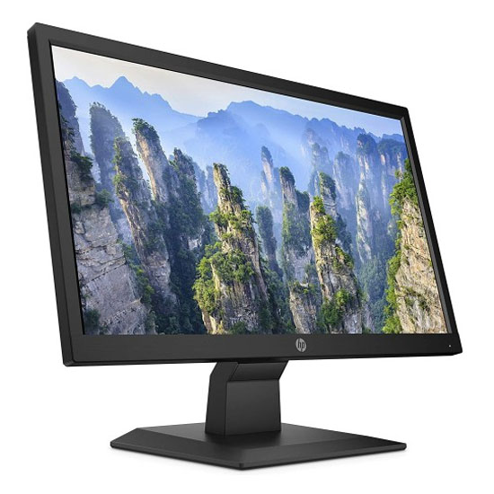 HP V20 19.5 Inch HD+ LED TN Monitor