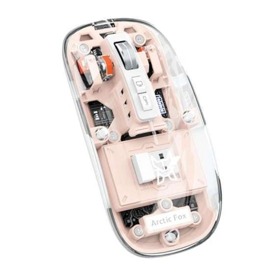 Q-10 Transparent Wireless LED Mouse