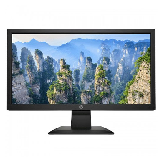 HP V20 19.5 Inch HD+ LED TN Monitor